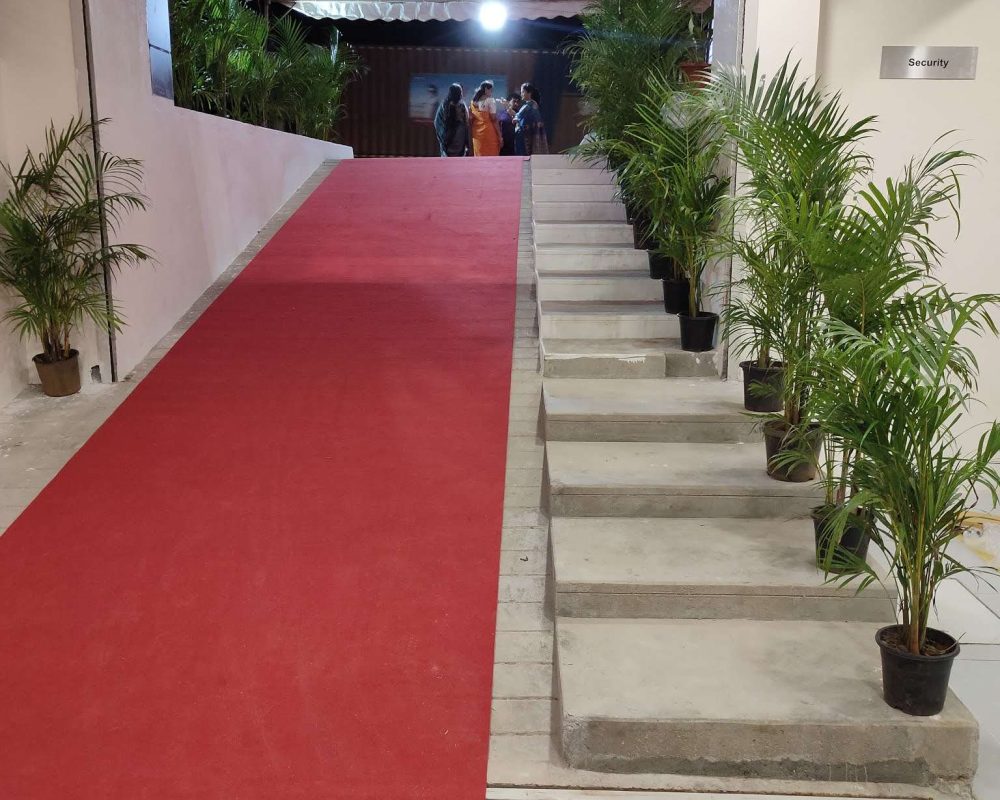 oppo_0